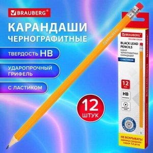 Карандаши чернографитные простые с ластиком HB, ВЫГОДНАЯ УПАКОВКА КОМПЛЕКТ 12 штук, BRAUBERG, 180635