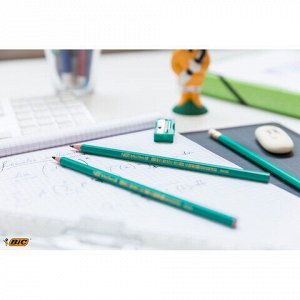 Карандаш чернографитный BIC, 1 шт., "Evolution", HB, корпус зеленый, 8803112