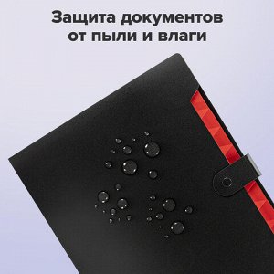 Папка-органайзер на кнопке 12 отделений, BRAUBERG "Extra", А4, черная с красным, 271934
