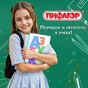 Пленка самоклеящаяся для учебников и книг фактурная, рулон 45х100 см, ПИФАГОР, 224316