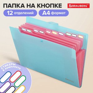 Папка-органайзер на кнопке 12 отделений, BRAUBERG "Extra", А4, голубая с розовым, 271932