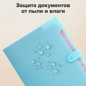 Папка-органайзер на кнопке 12 отделений, BRAUBERG "Extra", А4, голубая с розовым, 271932