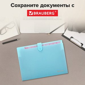 Папка-органайзер на кнопке 12 отделений, BRAUBERG "Extra", А4, голубая с розовым, 271932