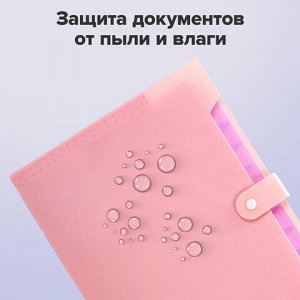 Папка-органайзер на кнопке 12 отделений, BRAUBERG "Extra", А4, персиковая с лавандовым, 271931