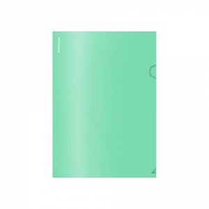 Папка-уголок ERICH KRAUSE "Matt Pastel Bloom", ассорти, 0,18 мм, 61133