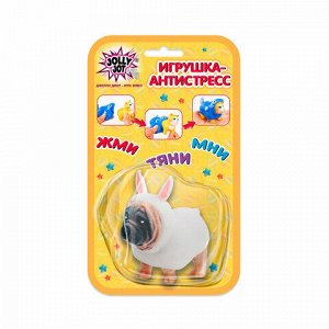 Игрушка-антистресс "Переодевашки ЗВЕРЯШКИ", 8х7 см, ассорти 6 видов, блистер, JOLLY JOT (ДЖОЛЛИ ДЖОТ), 665827