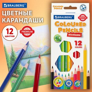 Карандаши цветные BRAUBERG PREMIUM, 12 цветов, шестигранные, грифель 3 мм, 181666