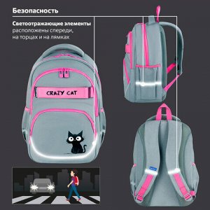 Рюкзак BRAUBERG MOTION, 2 отделения, 3 кармана, "Crazy cat", 41х28х17 см, 273115