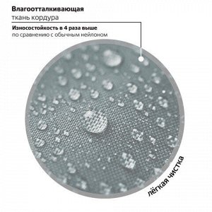 Рюкзак BRAUBERG MOTION, 2 отделения, 3 кармана, "Crazy cat", 41х28х17 см, 273115