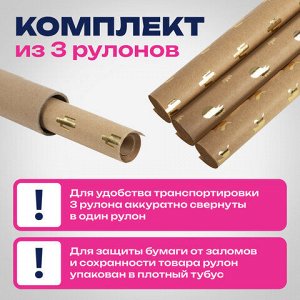 Бумага упаковочная подарочная крафт С ЭФФЕКТАМИ НАБОР 3 шт., "Trendy Kraft", 70х100 см, ЗОЛОТАЯ СКАЗКА, 591938