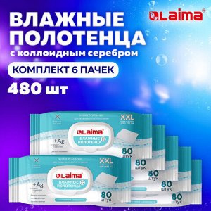 Полотенца влажные с коллоидным серебром КОМПЛЕКТ (6 пачек х 80 шт.), 16,5х25 см, LAIMA, 116524