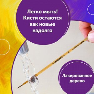 Кисти ЮНЛАНДИЯ, набор 5 шт. (ПОНИ: круглые № 1, 2, 3, 4, 5), блистер с европодвесом, 200893