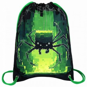 Мешок для обуви BRAUBERG PREMIUM, карман, подкладка, светоотражайка, 43х33 см, "Digital spider", 273444