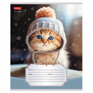 Тетрадь 12л. HATBER линия, обложка картон, Уютные котики (микс в спайке), 12Т5В2