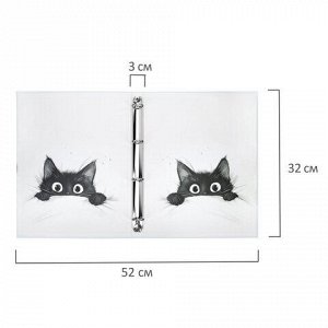 Папка-портфолио универсальная, 4 кольца, 20 файлов, 7БЦ матовая, BRAUBERG "Cat", 107557, 117557
