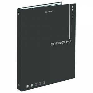 Папка-портфолио универсальная, 4 кольца, 20 файлов, 7БЦ матовая, BRAUBERG "Minimalism", 117553