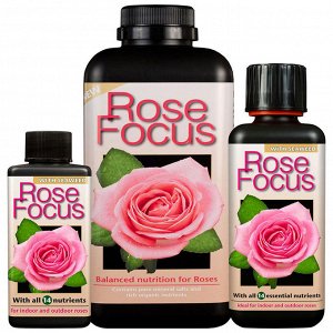 Rose Focus Уникальная формула жидкого удобрения для роз. Подходит для домашних и садовых роз.
При правильном питании розы достигают оптимального роста, цвета и аромата. Rose Focus разработан для удовл