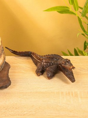 Сувенир «Аллигатор», 30x10x6 см, дерево Суар, коричневый