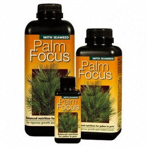 Palm Focus Комплексное удобрение для всех видов пальм в горшках.
Palm Focus точно сформулирован для нужд пальм, особенно для тех, которые выращивается в горшках и контейнерах. Palm Focus создан для по