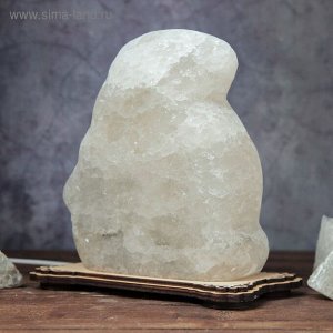 Соляной светильник "Мешок Долларов", фигурный , 18 х 18 х 10 см, деревянный декор, цельный кристалл