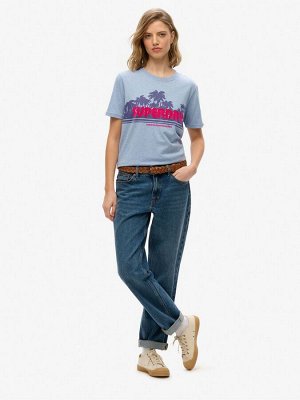 Синяя футболка Superdry Outdoor Stripe Relaxed