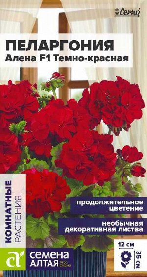 Цветы Пеларгония Алена F1 зональная тёмно-красная/Сем Алт/цп 3 шт. НОВИНКА