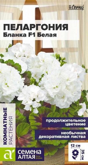 Цветы Пеларгония Бланка F1 зональная белая/Сем Алт/цп 3 шт. НОВИНКА