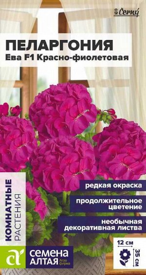 Цветы Пеларгония Ева F1 зональная красно-фиолетовая/Сем Алт/цп 3 шт. НОВИНКА