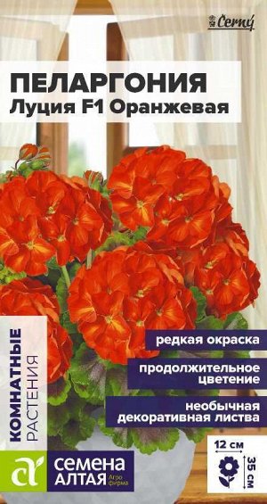 Цветы Пеларгония Луция F1 зональная оранжевая/Сем Алт/цп 3 шт. НОВИНКА