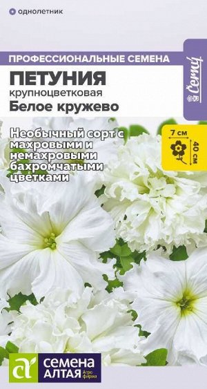 Цветы Петуния Белое кружево низкорослая крупноцветковая/Сем Алт/цп 7 шт. НОВИНКА