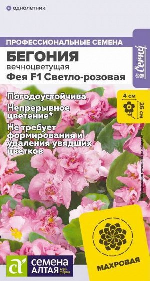 Бегония Фея F1 Светло-розовая вечноцветущая/Сем Алт/цп 5 шт. НОВИНКА