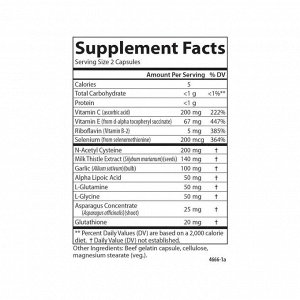 Nutra-Support Immune 60 капсул — антиоксидантная и иммунная поддержка