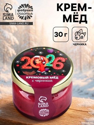 Крем-мёд «2026», вкус: черника, 30 г