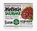 Резинка жевательная &quot;Живица таежная&quot; Кедровая, 5 штук по 0,8г