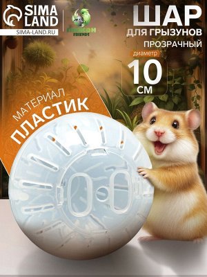 Шар для грызунов 10 см, прозрачный