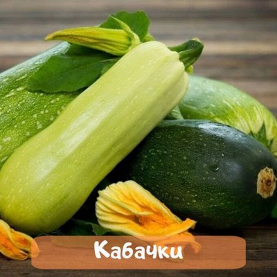 Богатый урожай и семенами от ТМ Семена Алтая