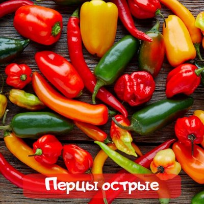 Самая низкая цена на сайте на семена от ТМ Семена Алтая