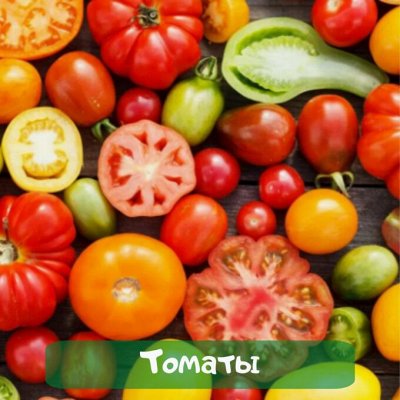 Самая низкая цена на сайте на семена от ТМ Семена Алтая