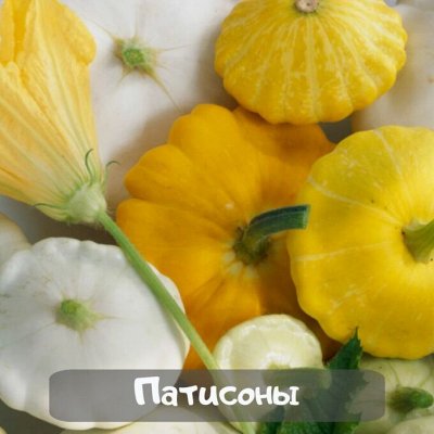 Богатый урожай и семенами от ТМ Семена Алтая