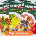 Витаминные заряды в микрозелени из семян от Семена Алтая
