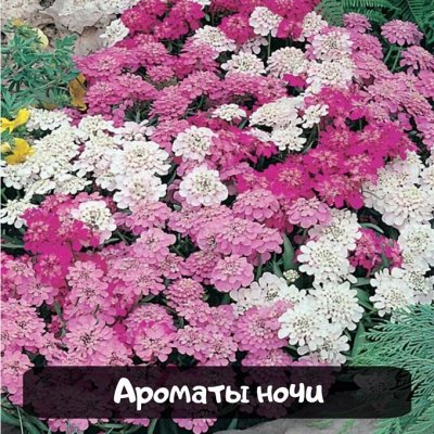 Самый полный ассортимент на цветы и овощи тм Семена Алтая