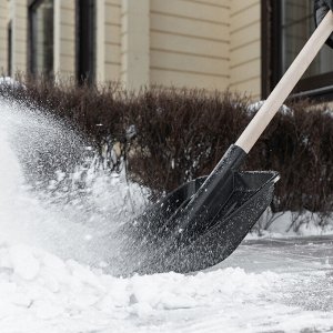 Лопата для уборки снега, полипропилен, 405х410х1470 мм, деревянный черенок