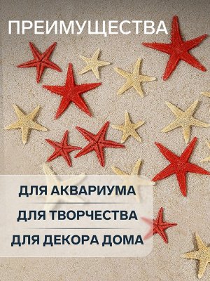 Набор натуральных морских звезд, 1,5 - 2,5 см, 20 шт, красные - белые