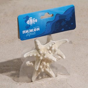Набор из 3 морских звезд, размер каждой 5-10 см, белые