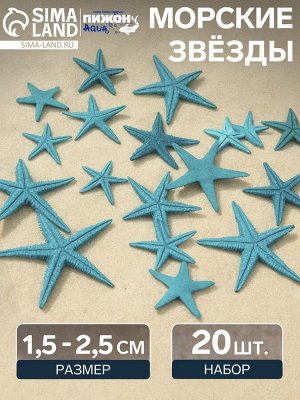 Набор натуральных морских звезд, 1,5 - 2,5 см, 20 шт, синий