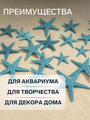 Набор натуральных морских звезд, 1,5 - 2,5 см, 20 шт, синий