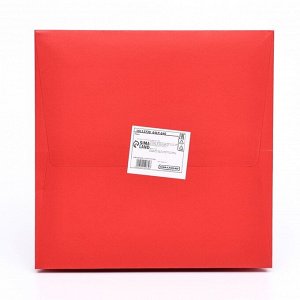 Пакет крафт с квадратным дном и окном, 20x20x20 см, красный