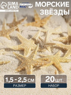 Набор натуральных морских звезд, 1,5 - 2,5 см, 20 шт