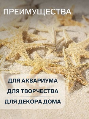 Набор натуральных морских звезд, 1,5 - 2,5 см, 20 шт
