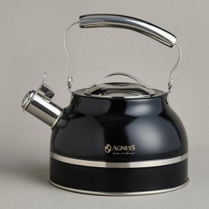Чайник Premium Steel 2.7L со свистком и термоаккумулирующим дном для индукции, 1 шт.